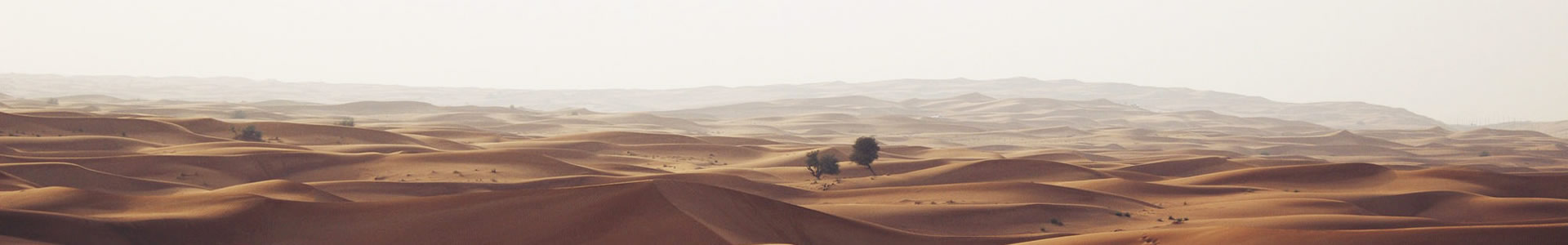 һԶƼ޹˾